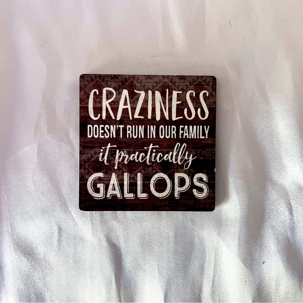 Novelty Magnet “Craziness Doesn’t Run In Our Family It Practically Gallops”
